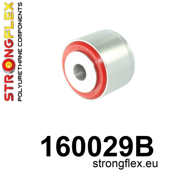 160029B: Rear diff mount - rear bush
